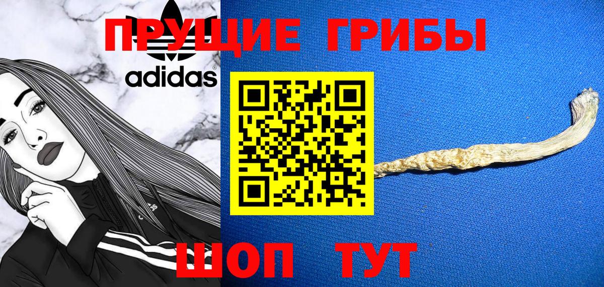 Галлюциногенные грибы Cubensis Тейково