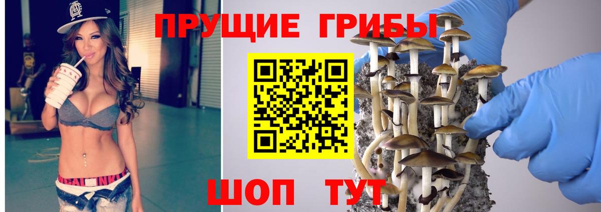 Галлюциногенные грибы Psilocybe  цена наркотик  Тейково  Вход с VPN  Псилоцибиновые грибы прущие грибы 