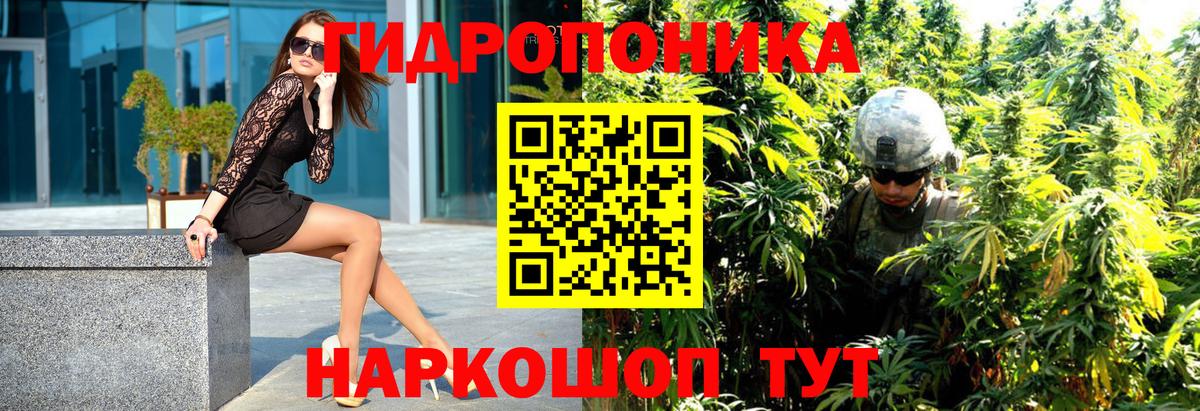 Марихуана Bruce Banner  Каннабис VHQ  Тейково  Вход с VPN 